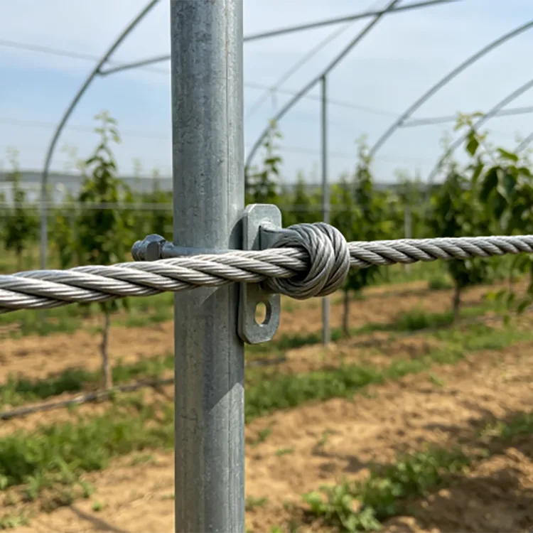 Galvanized Steel Strand